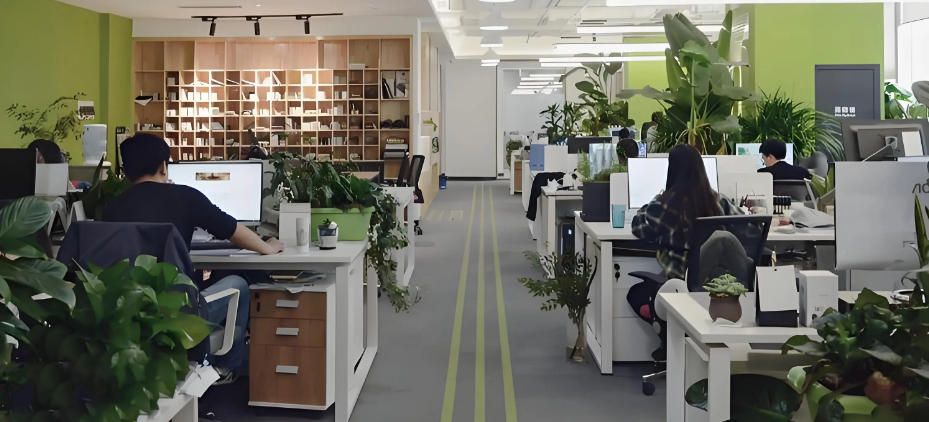 湖南肆叁壹壹貳陸商貿有限公司輪播圖1