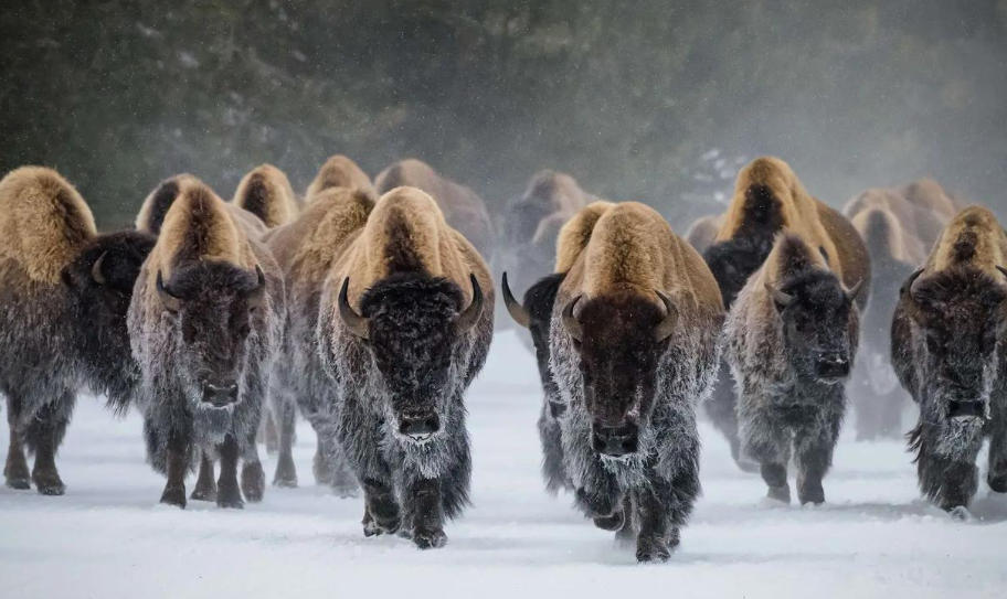 湖南肆叁壹壹貳陸商貿有限公司輪播圖4