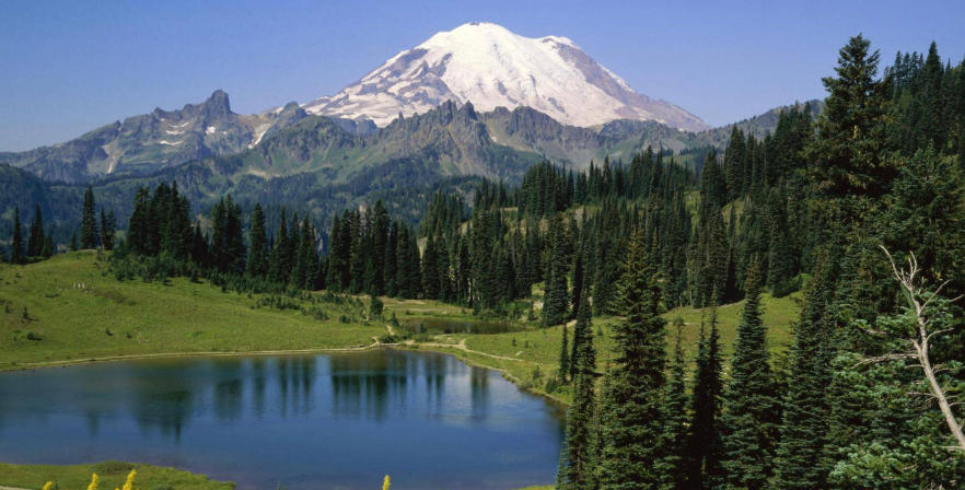 湖南肆叁壹壹貳陸商貿有限公司輪播圖3