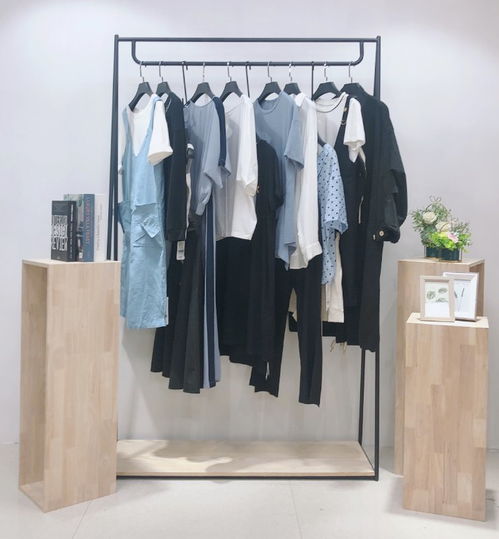 復(fù)古風(fēng)尚，精品庫(kù)存女裝連衣裙尾貨批發(fā)指南